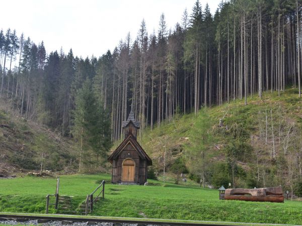 Lesnícky skanzen pred rokom 