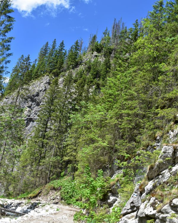 Nebezpečné sucháre nad turistickým chodníkom