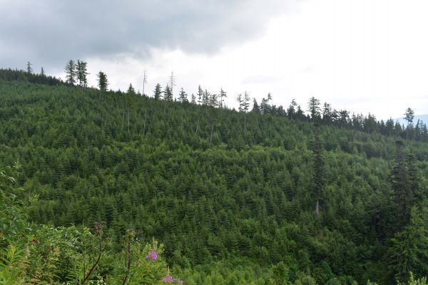 Ilustračné foto: Jozef Marko 