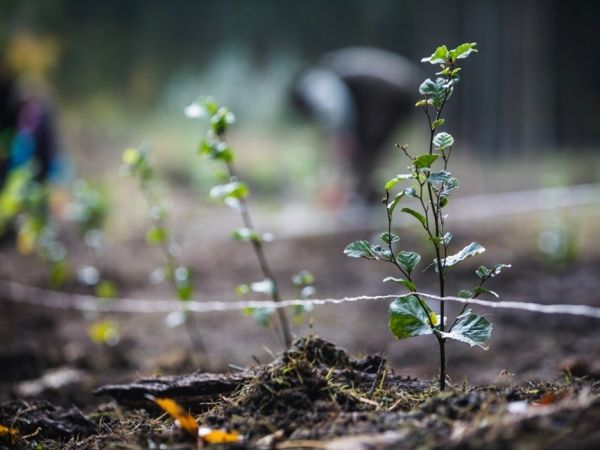 Zdroj: Internetov&aacute; str&aacute;nka Lesy ČR