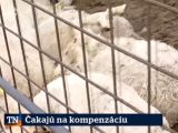 Zdroj: Internetová stránka TVNOVINY.sk 