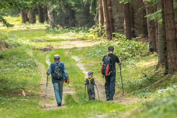 Víťazná fotografia národného kola fotosúťaže PEFC Slovensko 