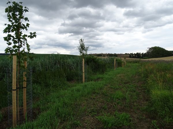 V&yacute;sadba pri Lovčickom potoku 