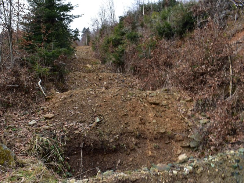 Rozrýpaná zvážnica v lesoch pri Gelnici 