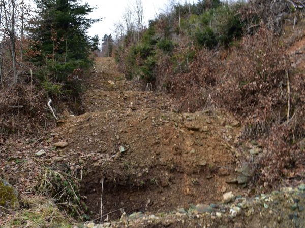 Rozrýpaná zvážnica v lesoch pri Gelnici 