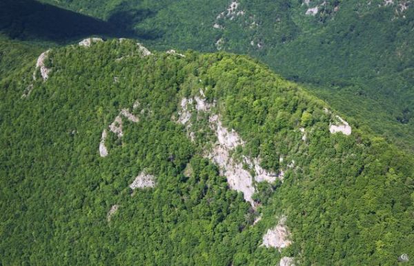 Len na Mur&aacute;nskej planine sa podľa pozorovan&iacute; miestnych lesn&iacute;kov pohybuje 26 medveďov 