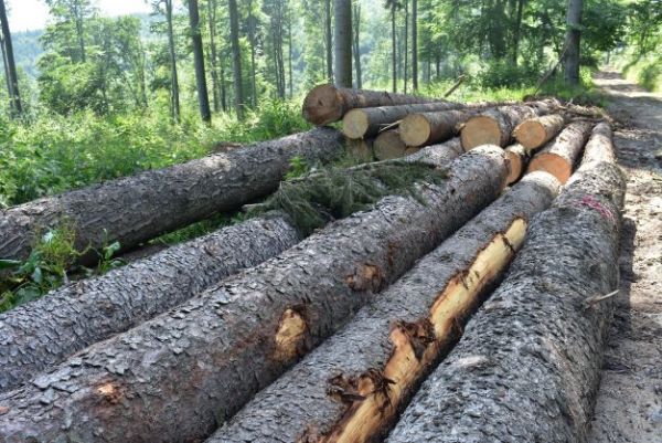 Ilustračn&eacute; foto Jozef Marko