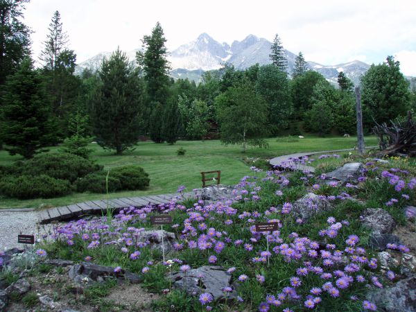 Zavreli sa brány botanickej záhrady