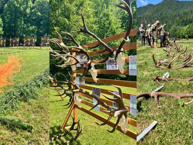 Zdroj: Internetová stránka LESY SR 