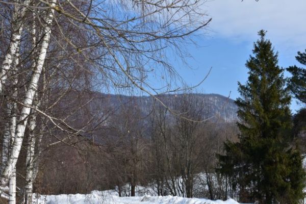 Karpatské bukové lesy na hrebeni Polonín 