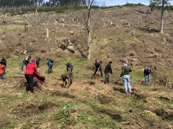 V&yacute;sadba stromčekov dobrovoľn&iacute;kmi 