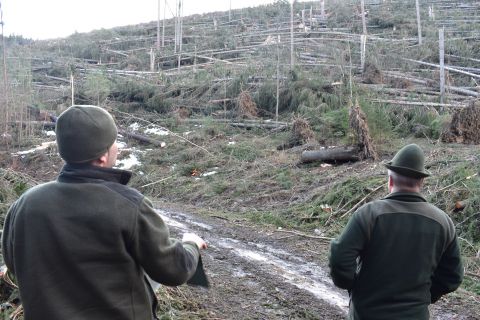 Lesníci smutne pozerajú na následky vyčíňania víchrice