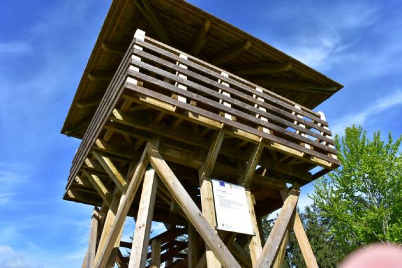 Vyhliadková veža na území Lesného spoločenstva Štiavnik