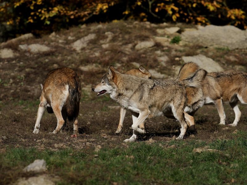 Ilustračné foto: Pixabay.com 