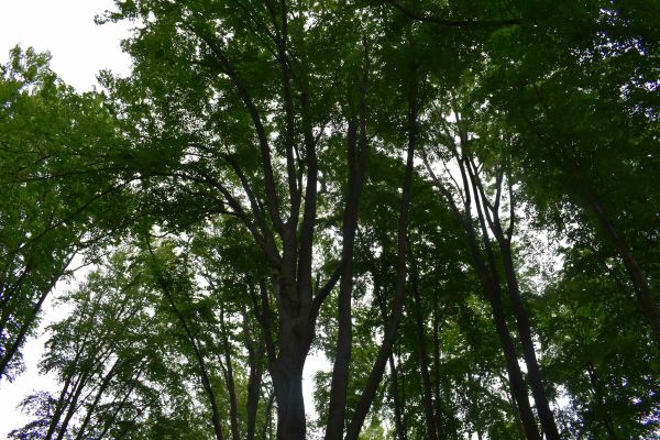 Ilustračné foto: Jozef Marko 