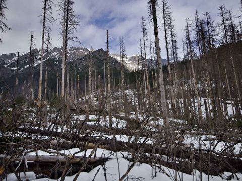Bezzásahový režim v TANAP-e