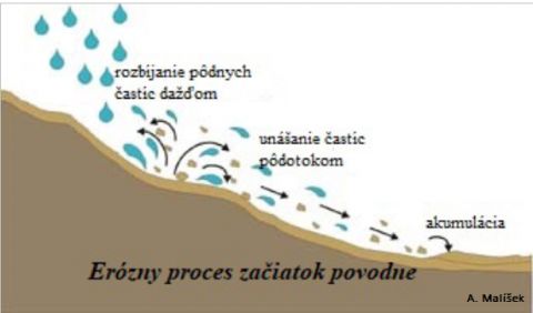 Ilustrácia: Alojz Malíšek 