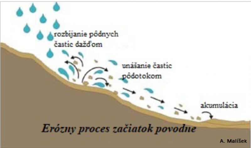 Ilustrácia: Alojz Malíšek 