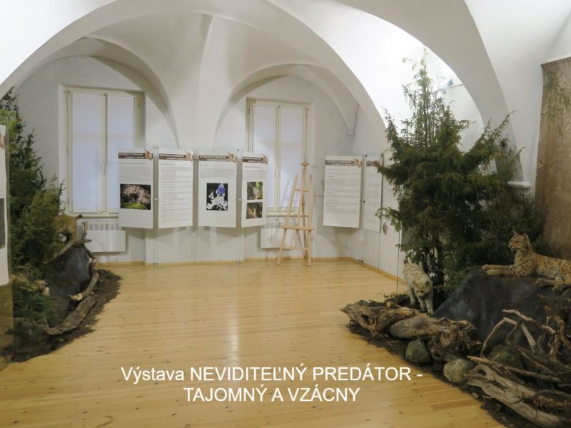 Výstava o rysovi 