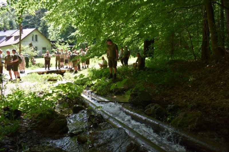 Ústie Vodného žľabu v doline Rakytovo 