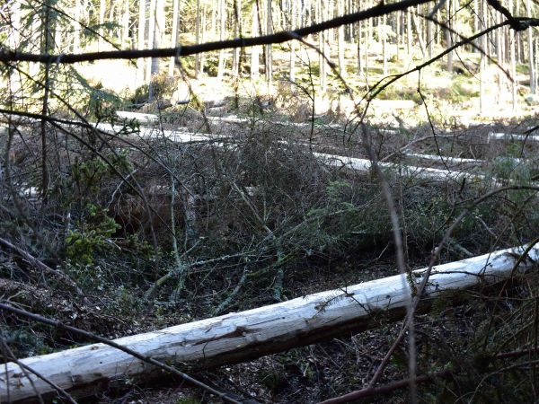 Ilustračné foto: Jozef Marko 