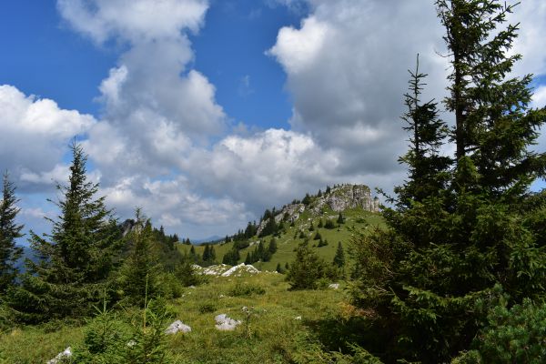 Národný park Veľká Fatra