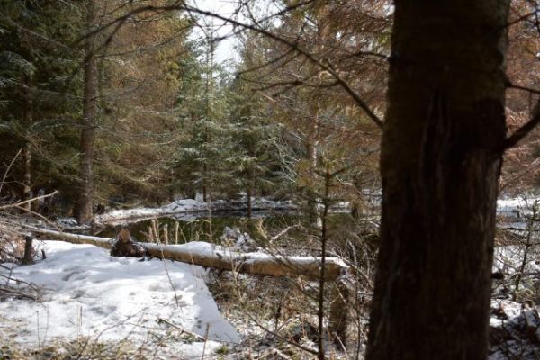 Bobria hr&aacute;dza a jej okolie 