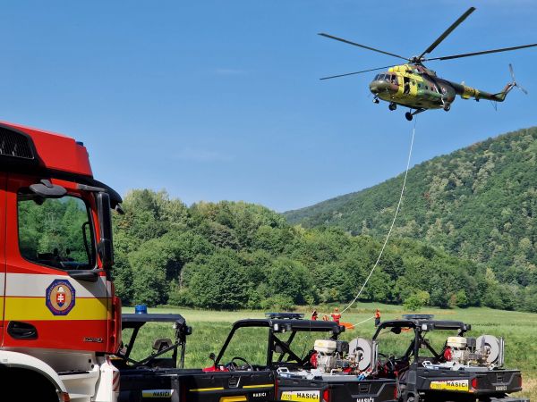 Ilustračné foto: archív Lesmedium.sk 