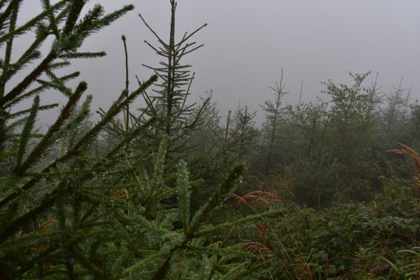 Ilustračn&eacute; foto Jozef Marko