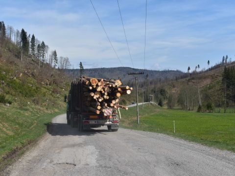 Odvoz kalamitného dreva z okolia Čierneho Balogu 