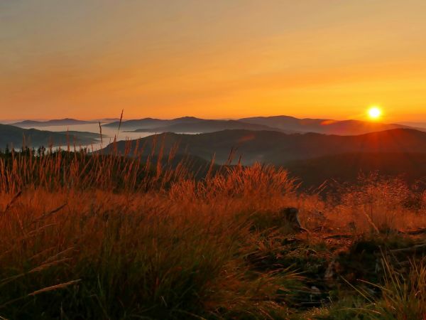 Ilustračné foto: Marek Pindroch