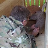 Jedna z odchyten&yacute;ch jelen&iacute;c