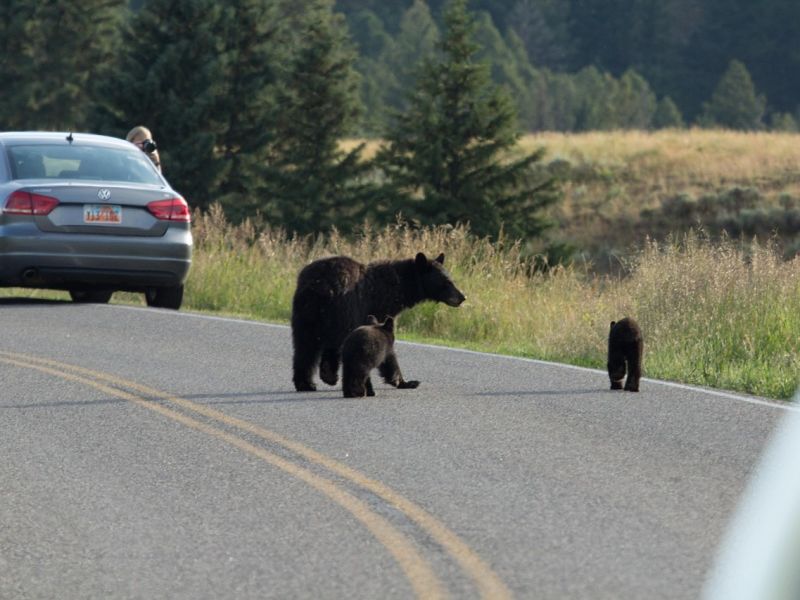 Ilustračn&eacute; foto: Pixabay.com 