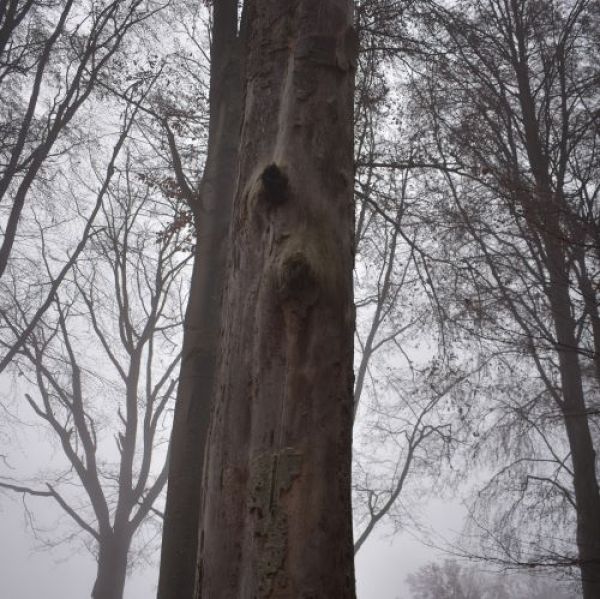 Ilustračn&eacute; foto Jozef Marko