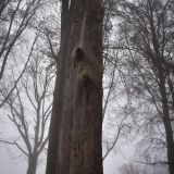 Ilustračn&eacute; foto Jozef Marko