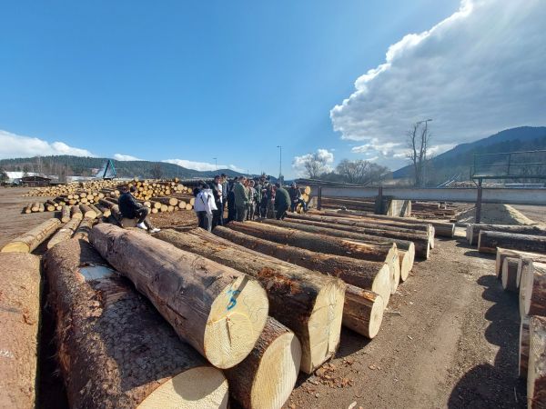 Ilustračné foto: FB stránka LESY SR š. p. 