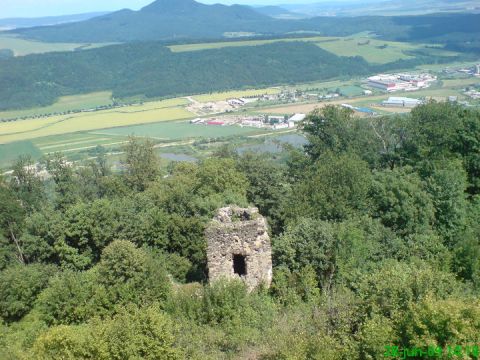 Porasty v okolí Šarišského hradu