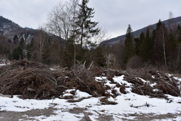 Zvyšky po ťažbe dreva, pripravené na zoštiepkovanie a využitie na energetické účely