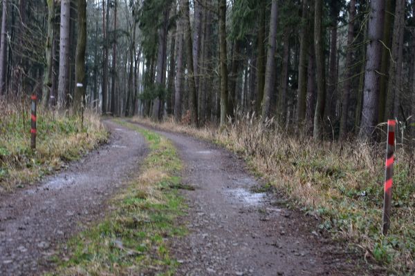 Ilustračné foto: Jozef Marko 