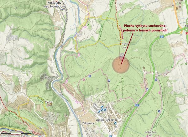 Zdroj: FB str&aacute;nka Mestsk&eacute; lesy Ko&scaron;ice, a.s. 