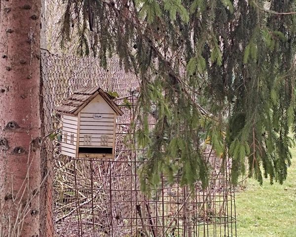 Ilustračné foto: Jozef Marko 