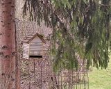 Ilustračn&eacute; foto: Jozef Marko 