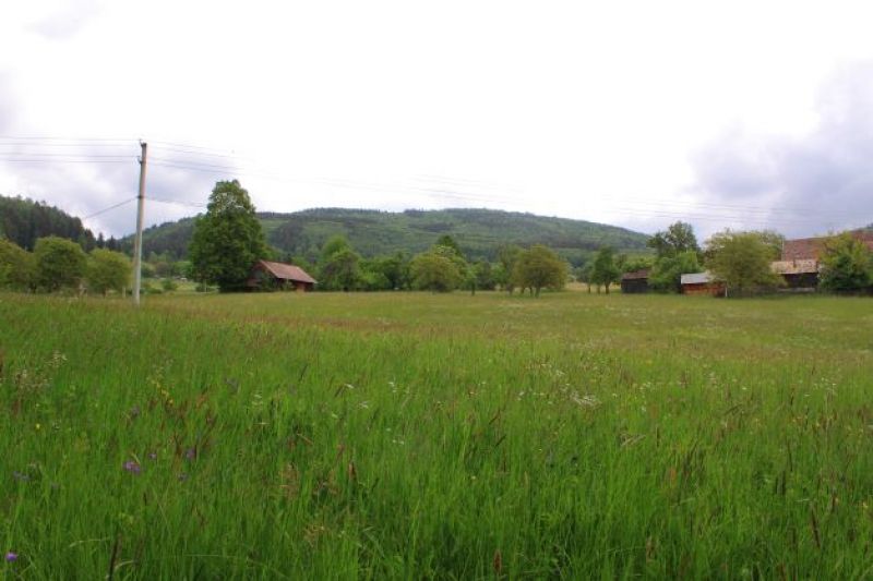 Lokalita Iviny v CHKO - BR Poľana 