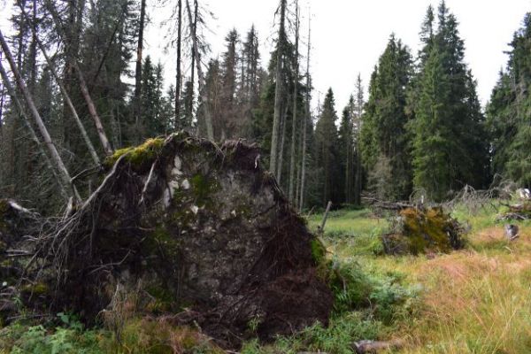 Ilustračné foto: Jozef Marko 