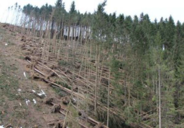 V N&aacute;rodnom parku Mal&aacute; Fatra sprac&uacute;vaj&uacute; kalamitu
