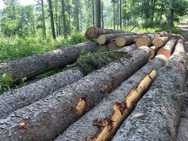 Ilustračné foto: Jozef Marko 