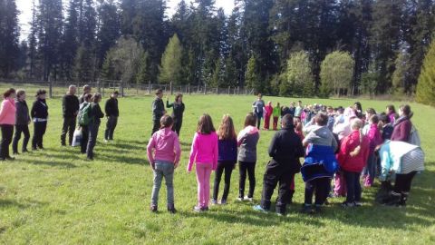 Ukážka aktivity v rámci lesnej pedagogiky lesníkov pre deti 