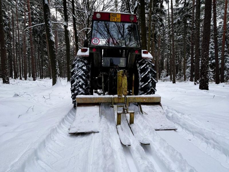 Zdroj: FB str&aacute;nka Mestsk&eacute; lesy Hradec Kr&aacute;lov&eacute;