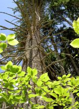 Navrhnite, kto si zasl&uacute;ži cenu