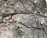 Zmenu kl&iacute;my nezastav&iacute;me